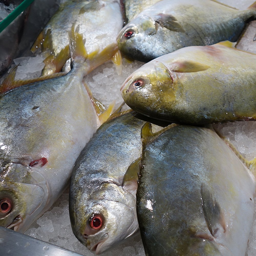 99 Ranch Market - Seafood Markets Near Me - Dublin, California 99 Ranch Market - Seafood Markets Near Me - Dublin, California