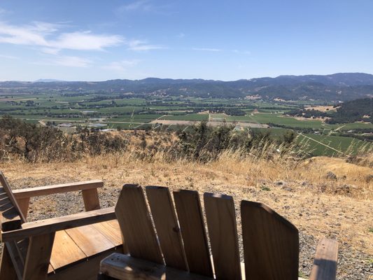 Patland Estate Vineyards by null