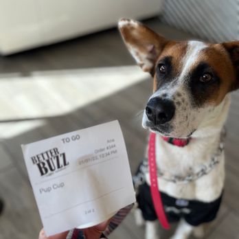 Better Buzz - Pup cup - Coffee & Tea Near Me - San Diego, California