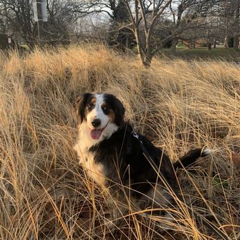 Follow Your Nose - Pet Stores Near Me - Evanston, Illinois