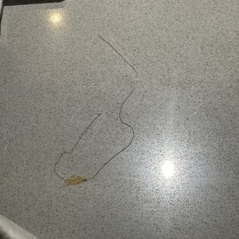 Sharetea - I pulled this string looking thing from the drink while I was about to eat - Bubble Tea Near Me - San Mateo, California