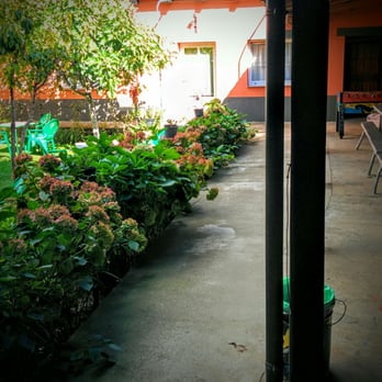 Casa Anita - Garden - Guest Houses Near Me - Santa Croya de Tera, ZA