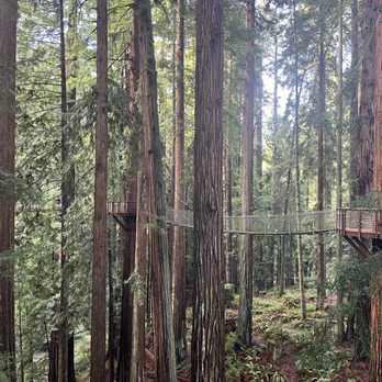 Sequoia Park Zoo - Redwood skywalk - Zoos Near Me - Eureka, California Sequoia Park Zoo - Redwood skywalk - Zoos Near Me - Eureka, California