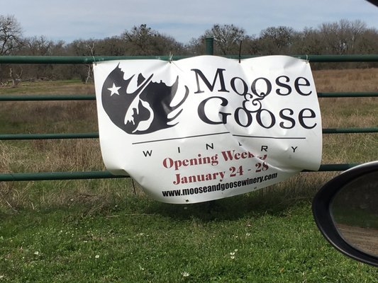 Moose & Goose Winery by null