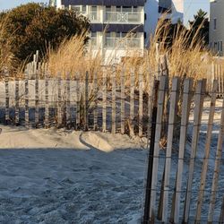 ICONA Cape May
