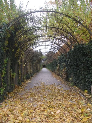 Mirabellgarden by null