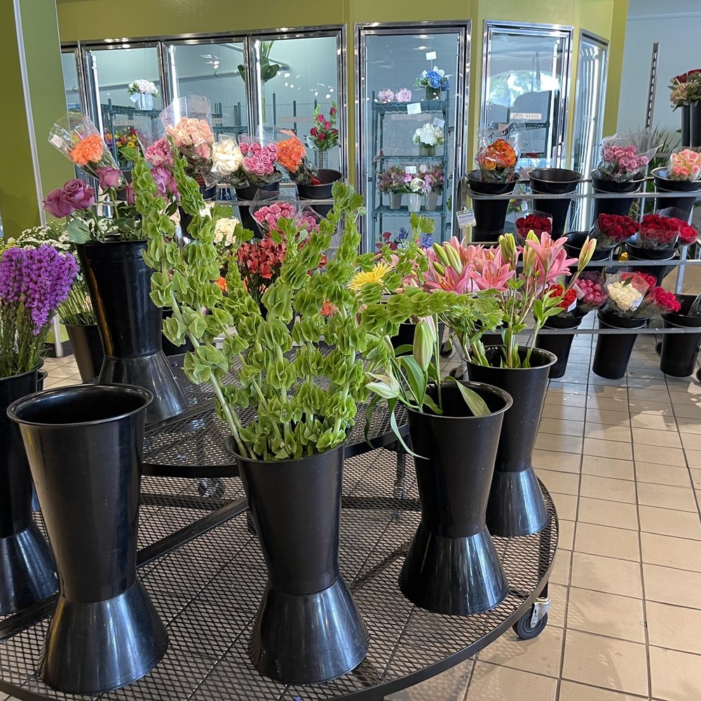 Flower Boca Raton Best Flower Site