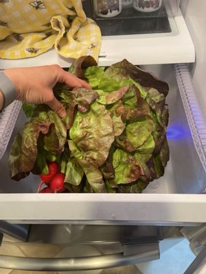 Willowsford Farm by null