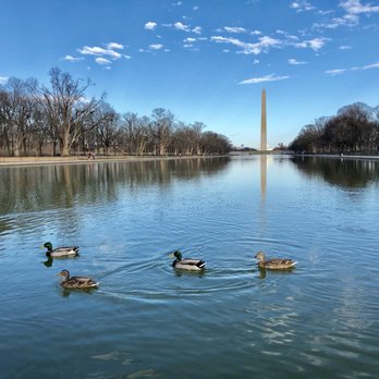Washington Monument - Lincoln Memorial Reflecting Pool - Landmarks & Historical Buildings Near Me - Washington, DC, District of Columbia Washington Monument - Lincoln Memorial Reflecting Pool - Landmarks & Historical Buildings Near Me - Washington, DC, District of Columbia