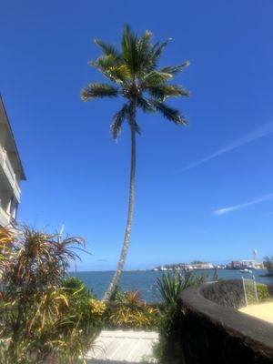 Hilo Reeds Bay Hotel by null