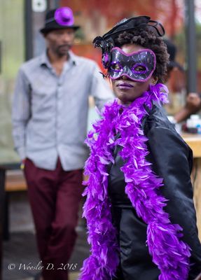 Tap Tap Tours & Transportation LLC by null