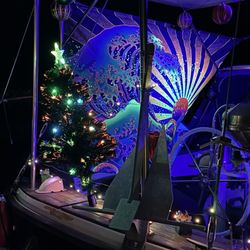 Pillar Point Harbor - Harbor light festival 12-13-2025