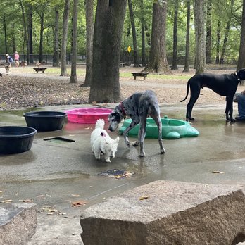 Murray Park - New friends - Parks Near Me - Little Rock, Arkansas Murray Park - New friends - Parks Near Me - Little Rock, Arkansas