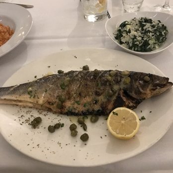 Skinos - Greek Near Me - New York, New York Skinos - Greek Near Me - New York, New York