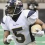 Wisconsin Wolfpack Professional Indoor Football