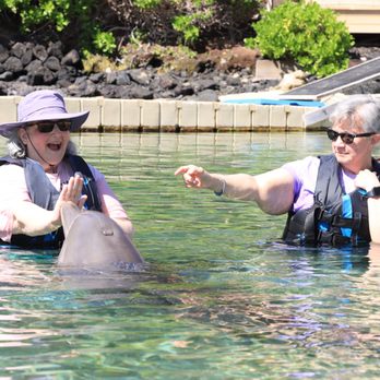 Dolphin Quest - Learning commands - Tours Near Me - Waikoloa, Hawaii