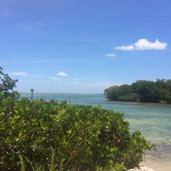 Island Grill - Here's my view for lunch! - Seafood Near Me - Islamorada, Florida