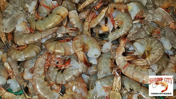 Shrimp City - Seafood & Bait by null