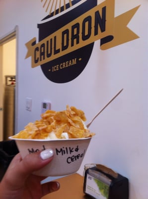 Cauldron Ice Cream by null