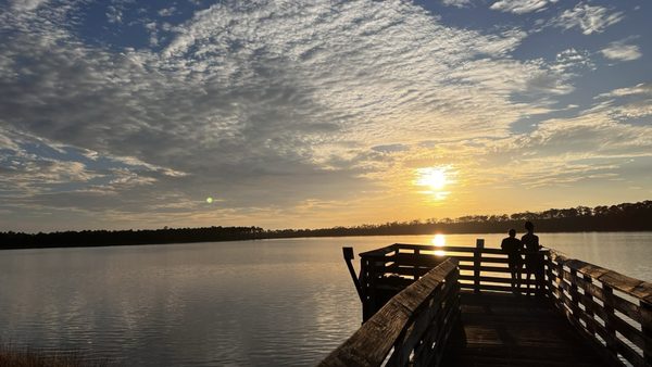 Tarkiln Bayou Preserve State Park by null