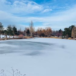 Benson Sculpture Garden