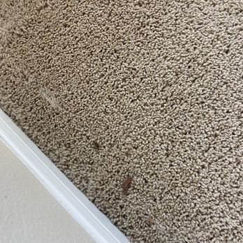 Trustworthy Cleaning Services - Home Cleaning Near Me - Austin, Texas