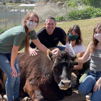 The Happy Heart Haven - Attraction Farms Near Me - Valley Center, California The Happy Heart Haven - Attraction Farms Near Me - Valley Center, California