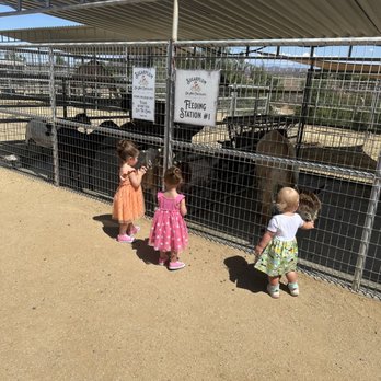 Sugarplum Zoo - Chocolatiers & Shops Near Me - Temecula, California Sugarplum Zoo - Chocolatiers & Shops Near Me - Temecula, California
