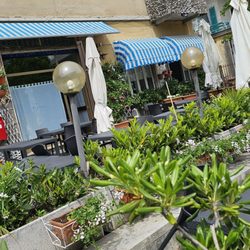 Trattoria del Fagiano - Storefront.