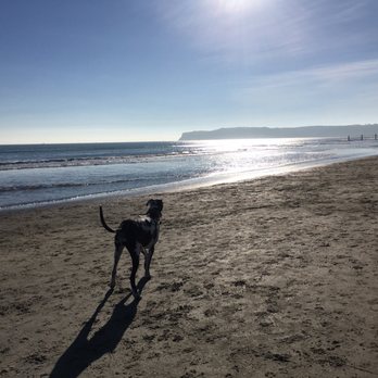 Coronado Dog Beach - Beaches Near Me - Coronado, California Coronado Dog Beach - Beaches Near Me - Coronado, California