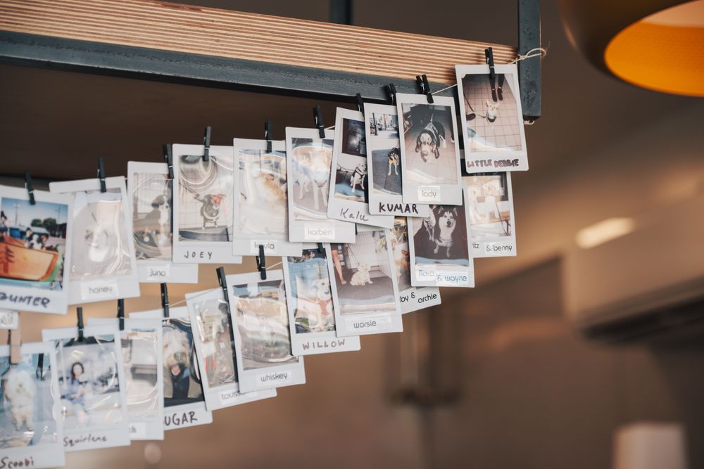 Highwire Coffee Roastery