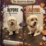 Shoreline Mobile Pet Grooming
