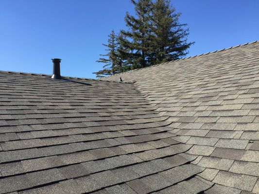 Maginis Roofing
