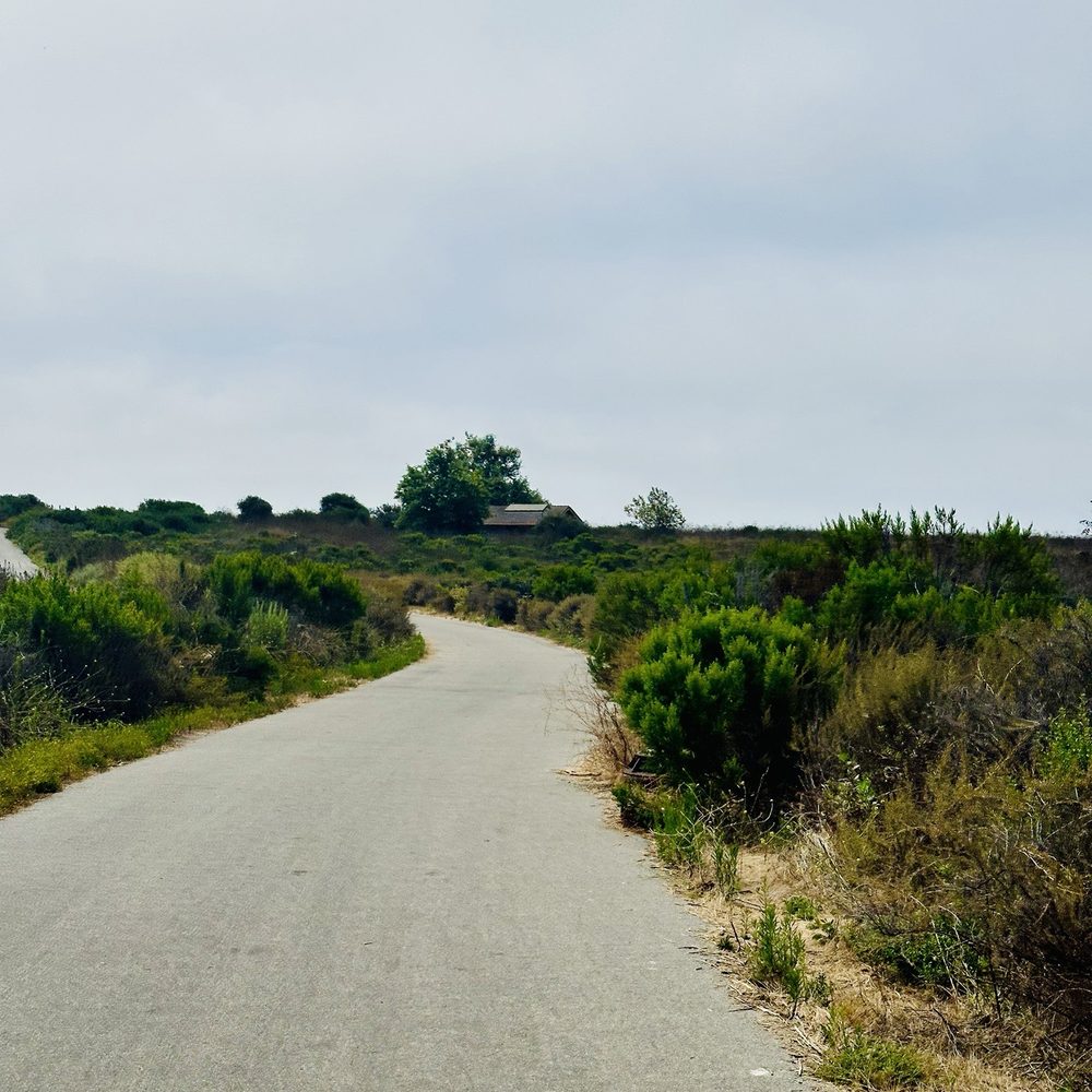 Crystal Cove State Park - Walking path down to beach 7/2024 - Parks Near Me - Laguna Beach, California Crystal Cove State Park - Walking path down to beach 7/2024 - Parks Near Me - Laguna Beach, California