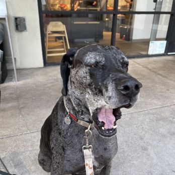 Motif Verres à Vin | Vecteur Gratuite