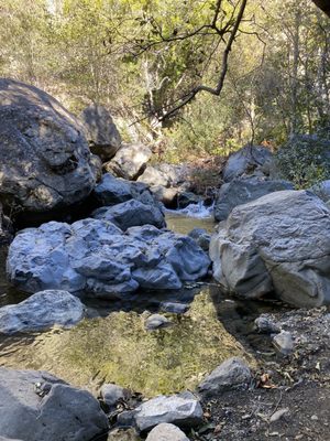 Salmon Creek Falls by null