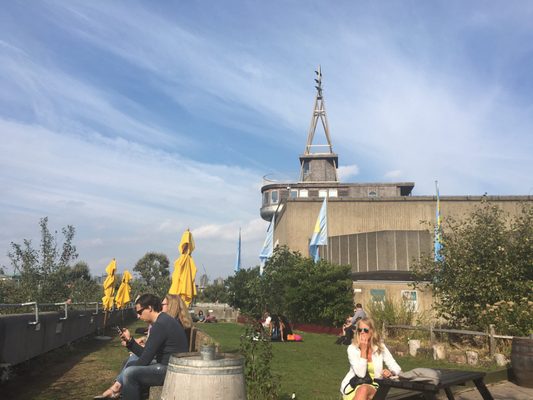 Queen Elizabeth Hall Roof Garden by null