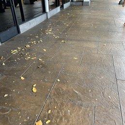 Middle of the day 12 noon leaves everywhere Middle of the day 12 noon leaves everywhere