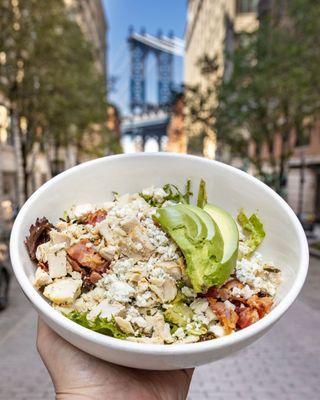 Westville Dumbo by null