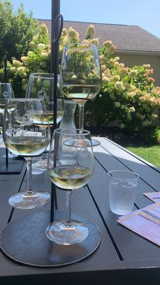 White Horse Winery by null