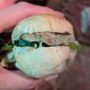 Photo of Mr Sub