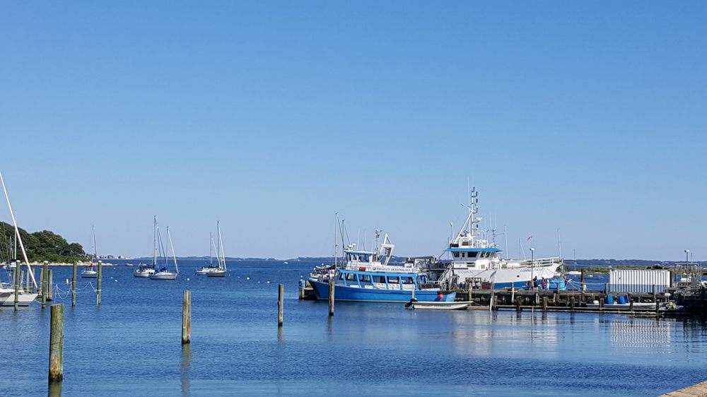 Social spots from Project Oceanology