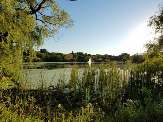 Central Park by null