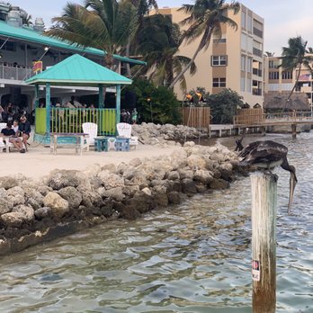 Lazy Days Restaurant - Dockside - Seafood Near Me - Islamorada, Florida Lazy Days Restaurant - Dockside - Seafood Near Me - Islamorada, Florida