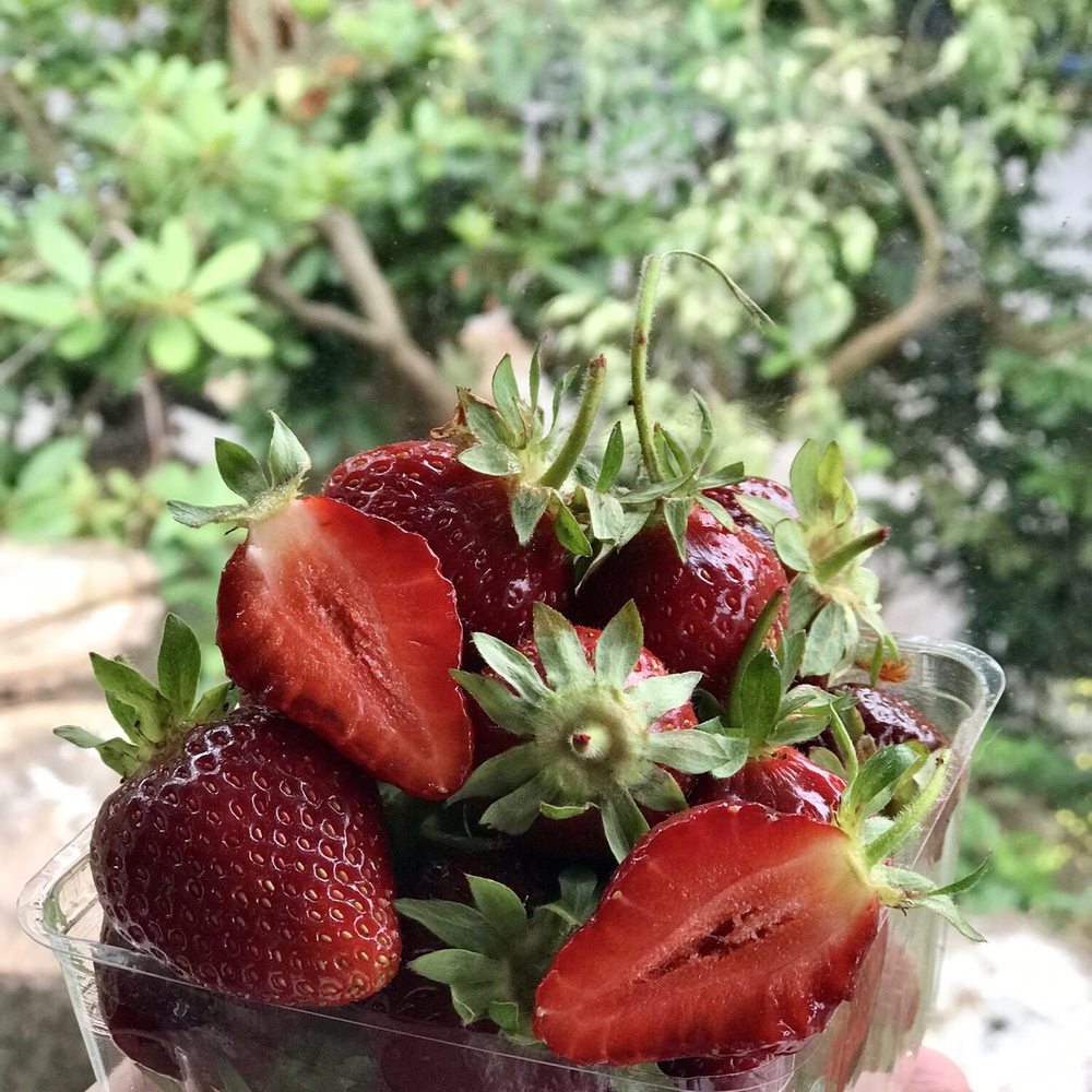 Spooner Berry Farms - Seattle - Pint of strawberries ($3.50) - Farmers Market Near Me - Seattle, Washington Spooner Berry Farms - Seattle - Pint of strawberries ($3.50) - Farmers Market Near Me - Seattle, Washington