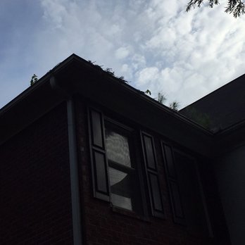 Handy Hands Up Keep - Gutter Cleaning Before - Pressure Washers Near Me Handy Hands Up Keep - Gutter Cleaning Before - Pressure Washers Near Me