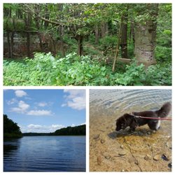 JC Phillips Nature Preserve - Trails