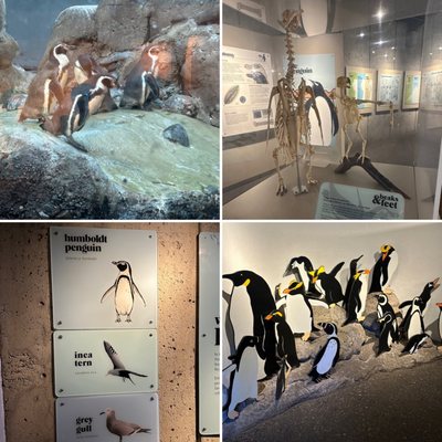 Oregon Zoo by null
