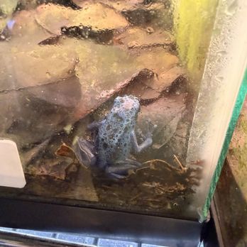 Zookeeper - Pet Stores Near Me - Austin, Texas Zookeeper - Pet Stores Near Me - Austin, Texas