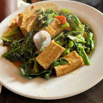 September In Bangkok - Green Curry tofu - Thai Near Me - New Haven, Connecticut September In Bangkok - Green Curry tofu - Thai Near Me - New Haven, Connecticut